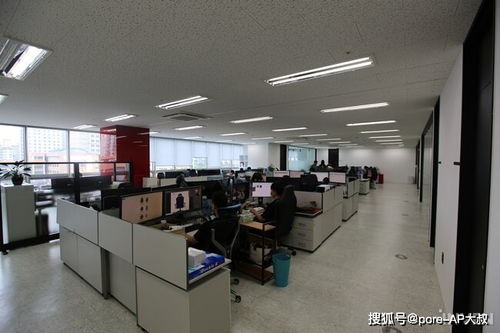 依托服务中心与产品体验，打造卓越物业管理服务新范式