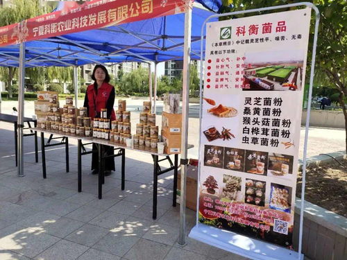 银川市巾帼家政服务暨巾帼助力扶贫展示进社区活动正式启动