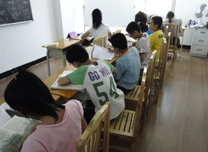 如何选择合适的初中补习班、小学三年级语文补习及物业管理服务